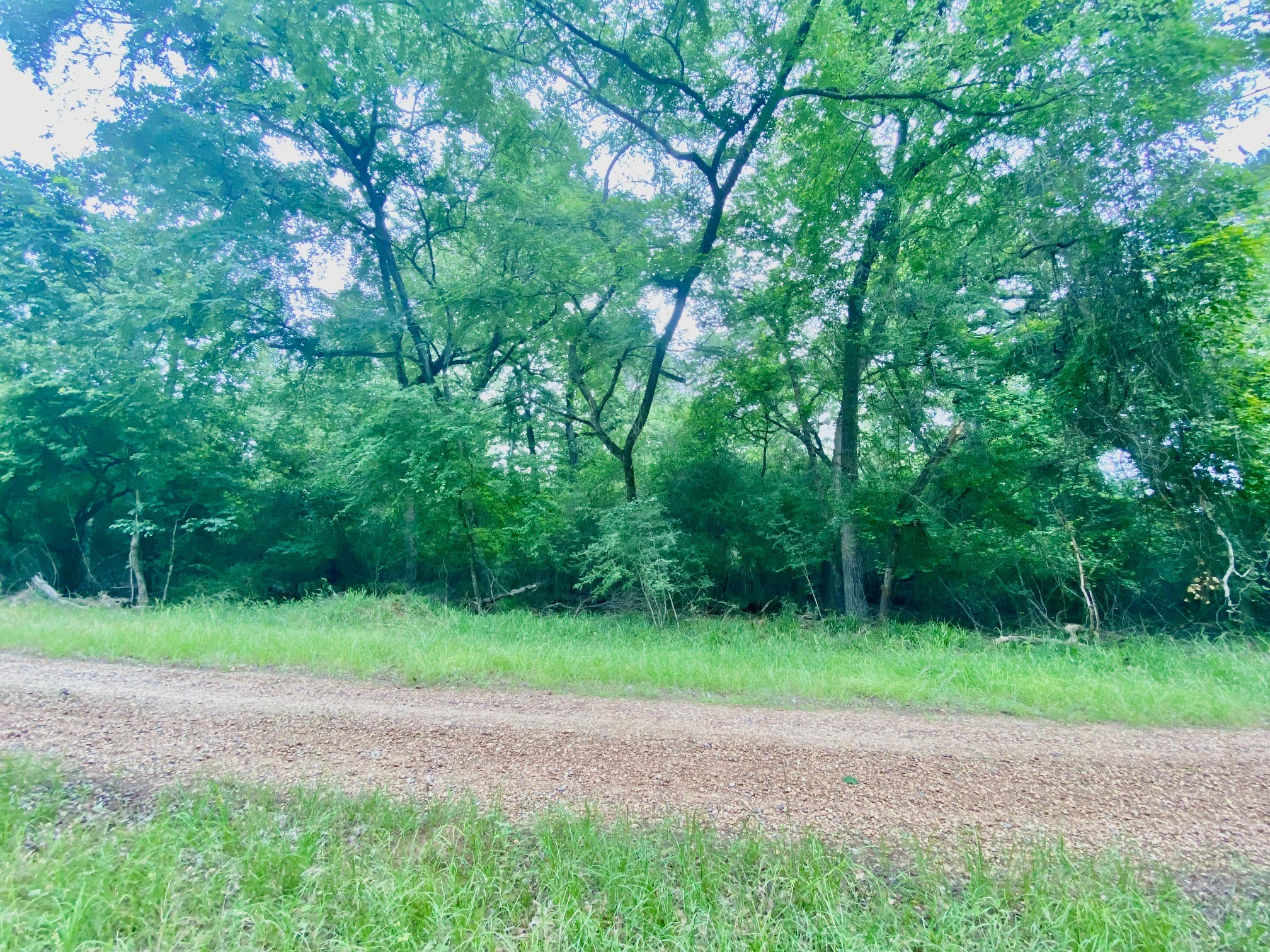 Tbd Lakeview Drive Property Photo 5