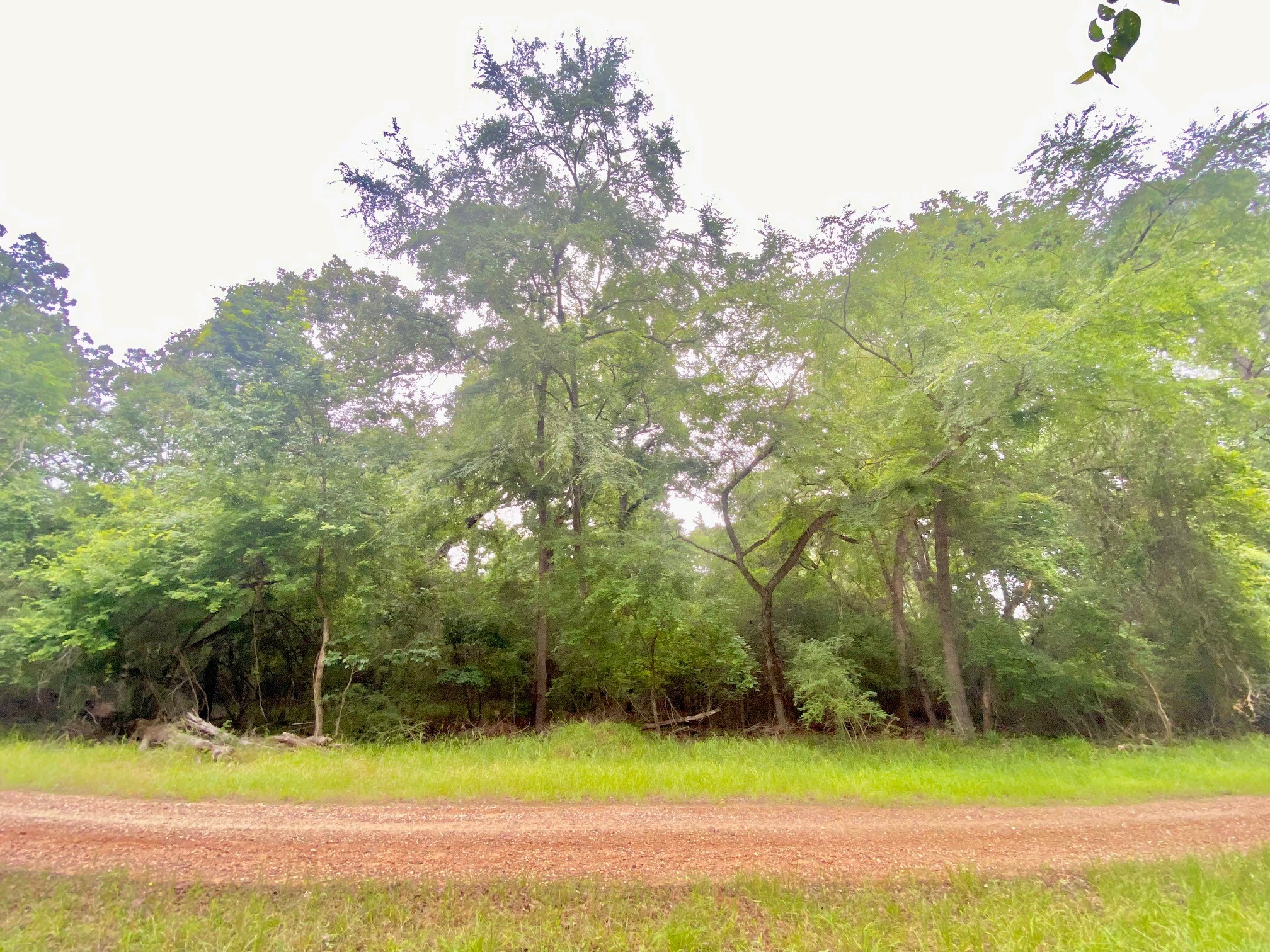 Tbd Lakeview Drive Property Photo 6