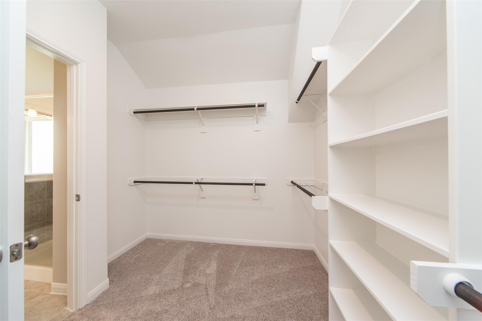 7034 Toluca Drive Property Photo 18