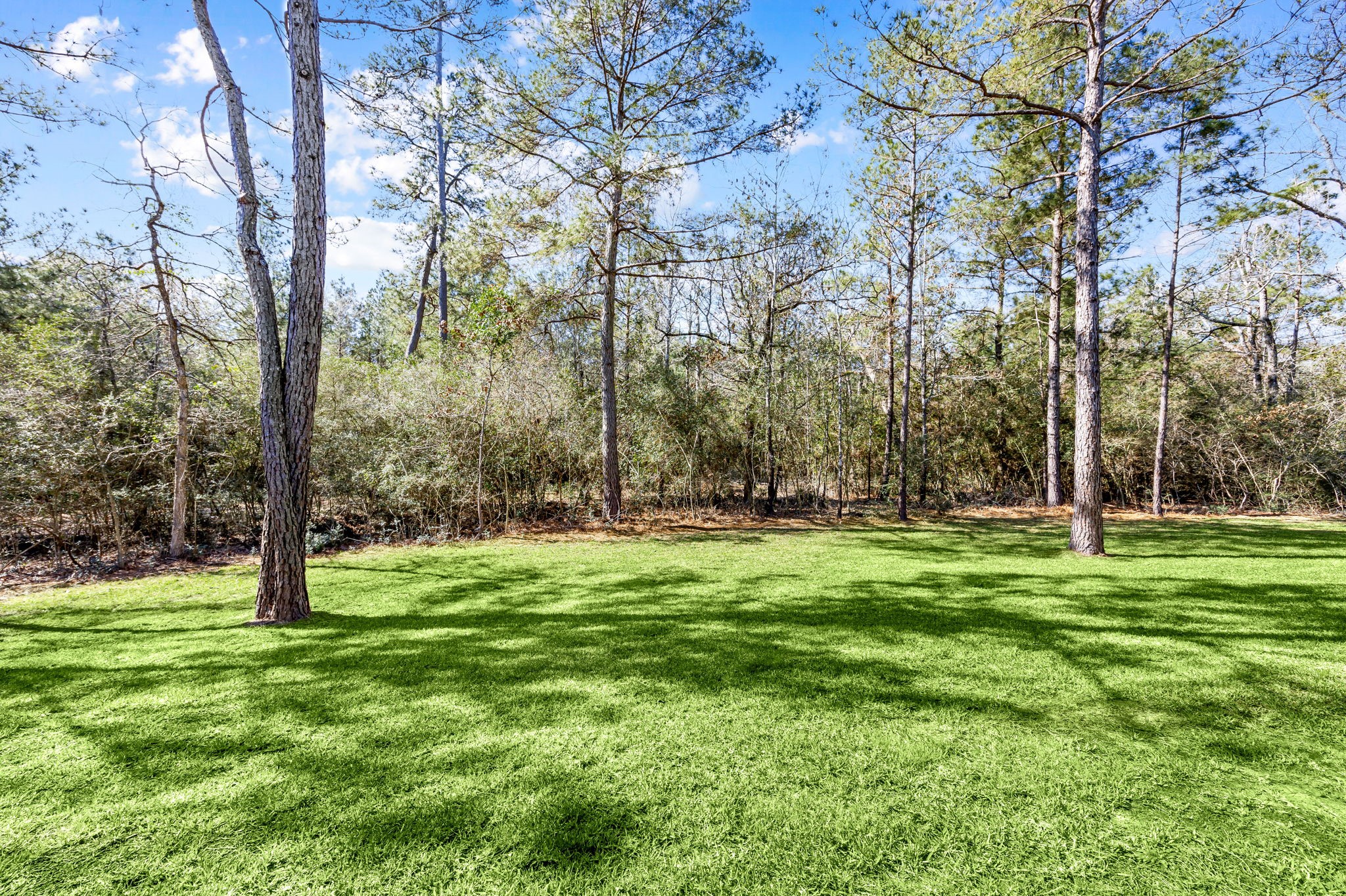 7613 Trinity Pines Drive Property Photo 43