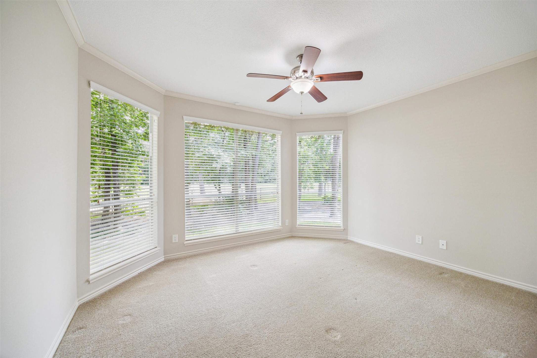 11 Twin Greens Court Property Photo 40