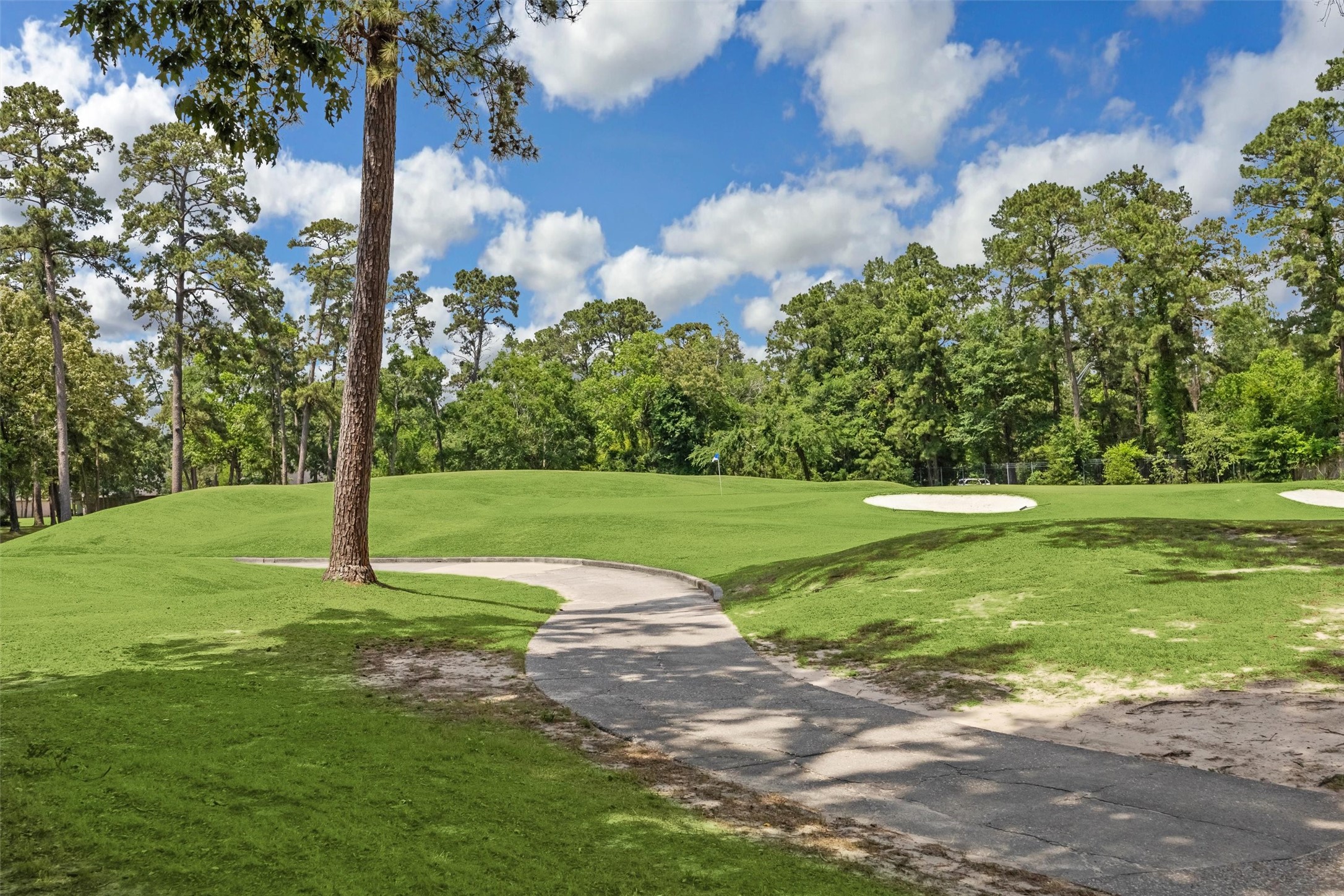 11 Twin Greens Court Property Photo 45