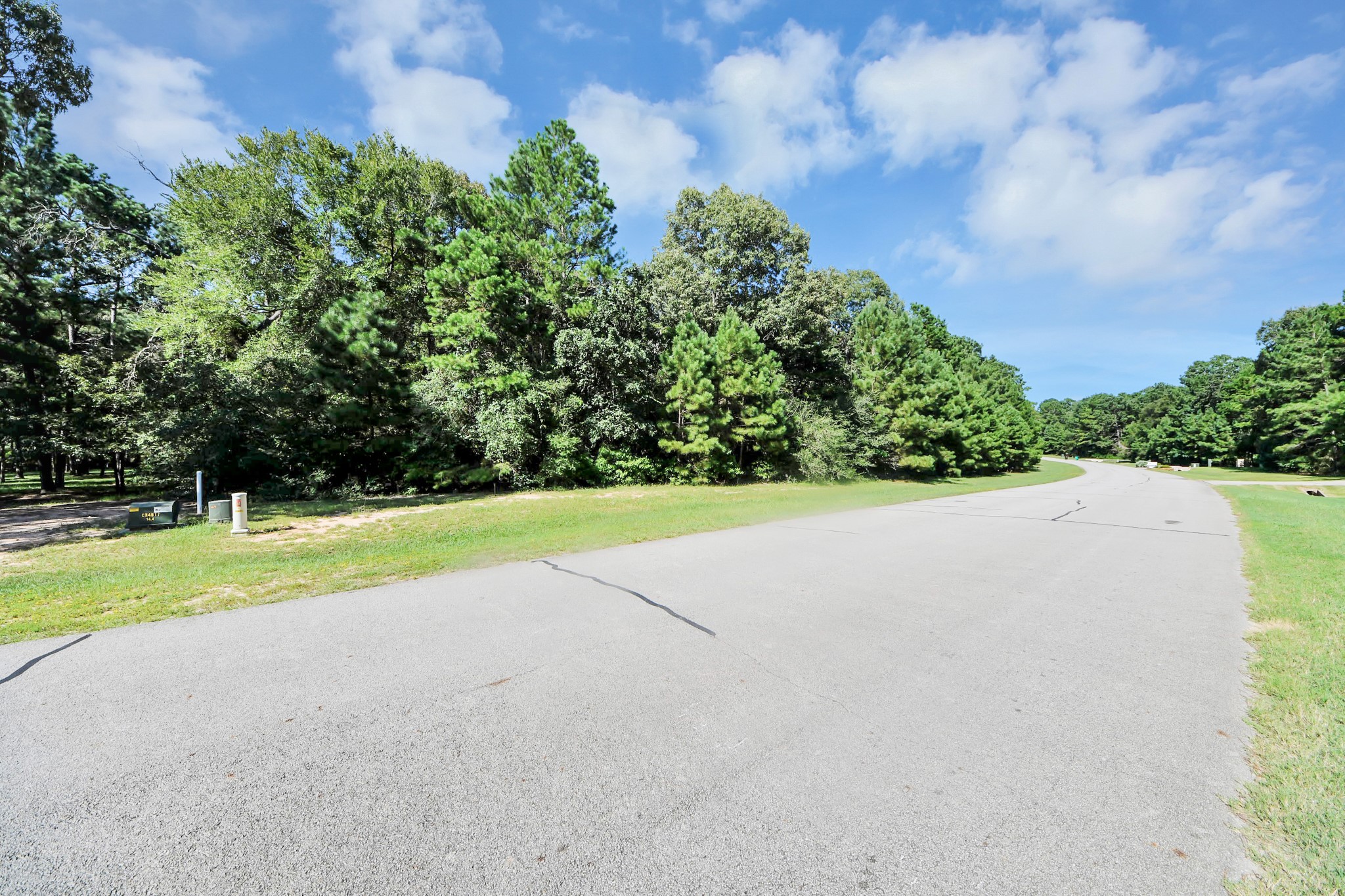 10317 Crown Ranch Boulevard Property Photo 5