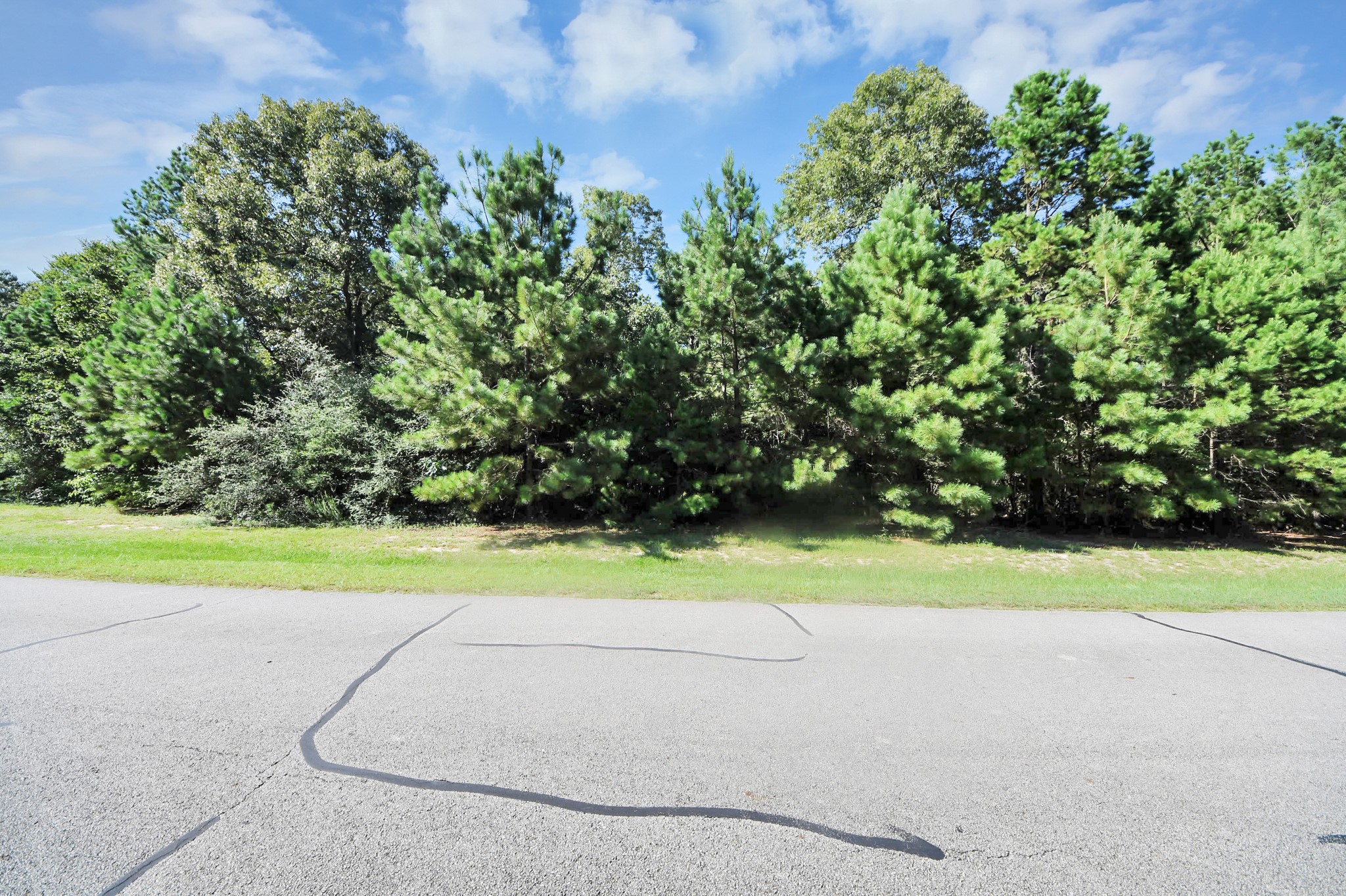 10317 Crown Ranch Boulevard Property Photo 6