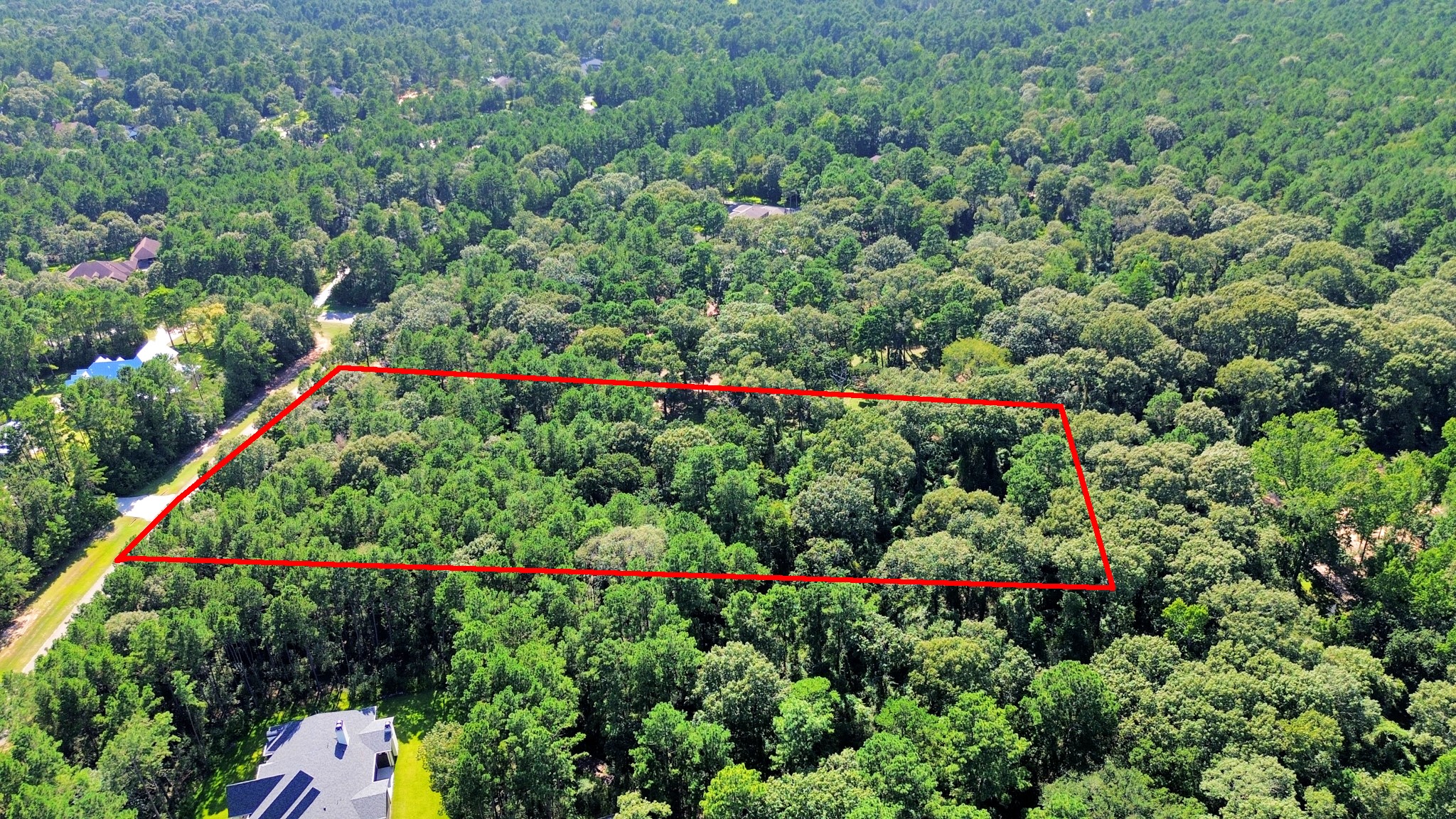 10317 Crown Ranch Boulevard Property Photo 14