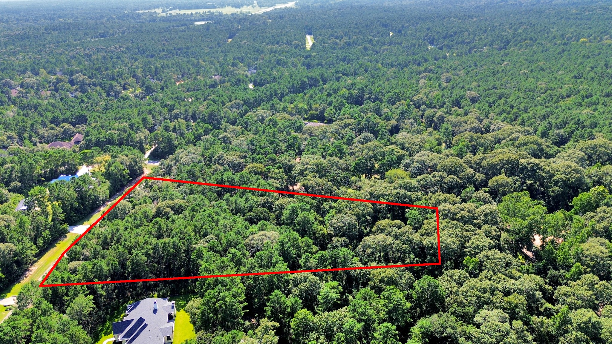 10317 Crown Ranch Boulevard Property Photo 15