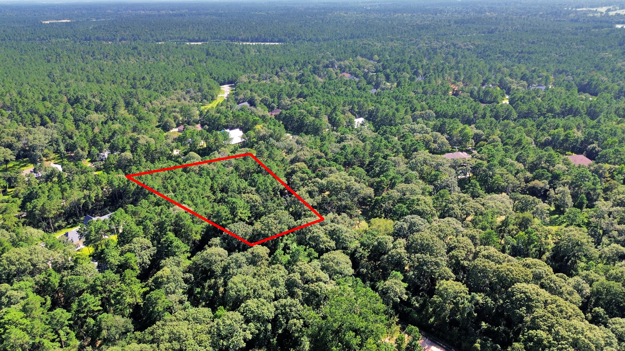 10317 Crown Ranch Boulevard Property Photo 17