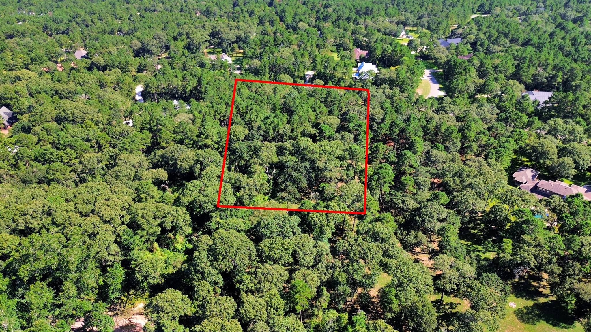 10317 Crown Ranch Boulevard Property Photo 19