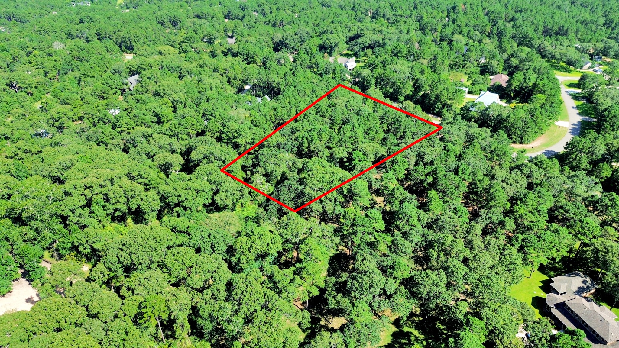10317 Crown Ranch Boulevard Property Photo 22