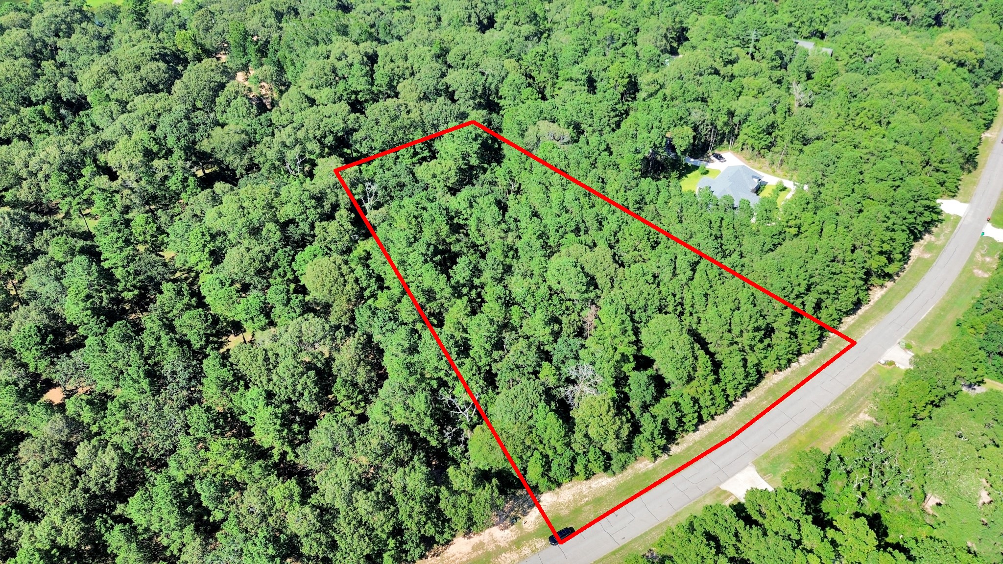 10317 Crown Ranch Boulevard Property Photo 29
