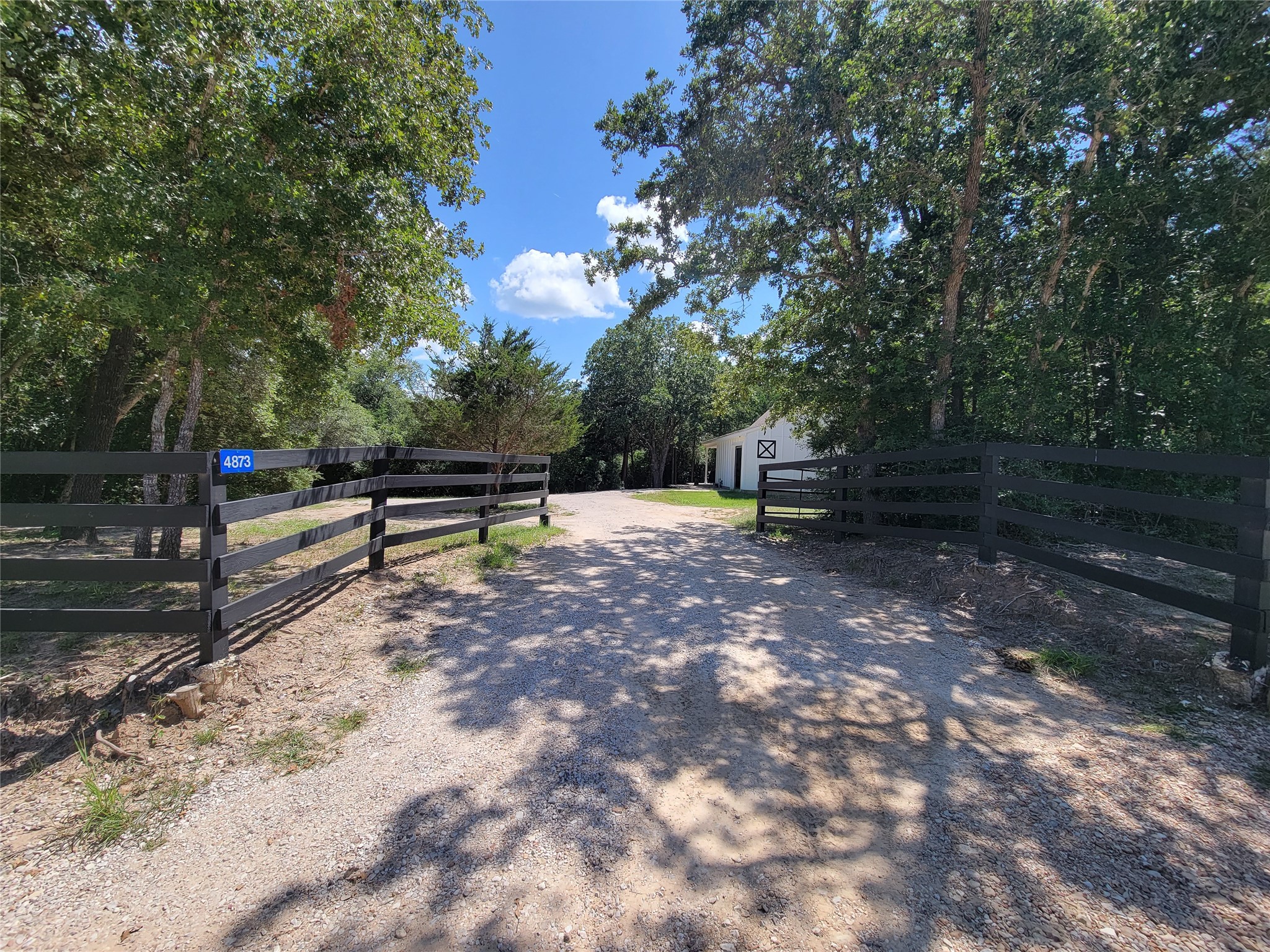 4937 Wolff Road Property Photo 2