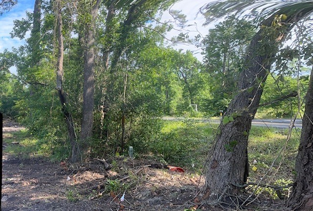 7190 State Highway 75 S Property Photo 13