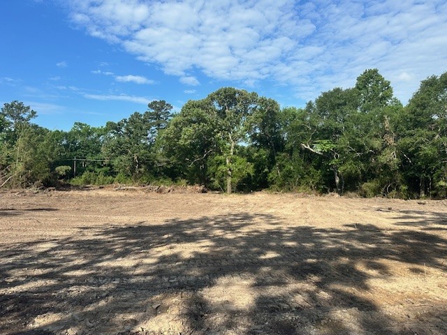 7190 State Highway 75 S Property Photo 16