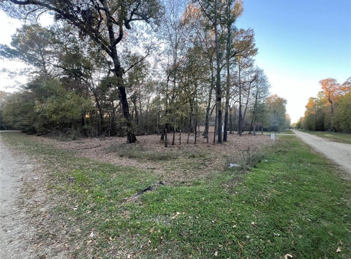 0 Mossy Drive Property Photo 1
