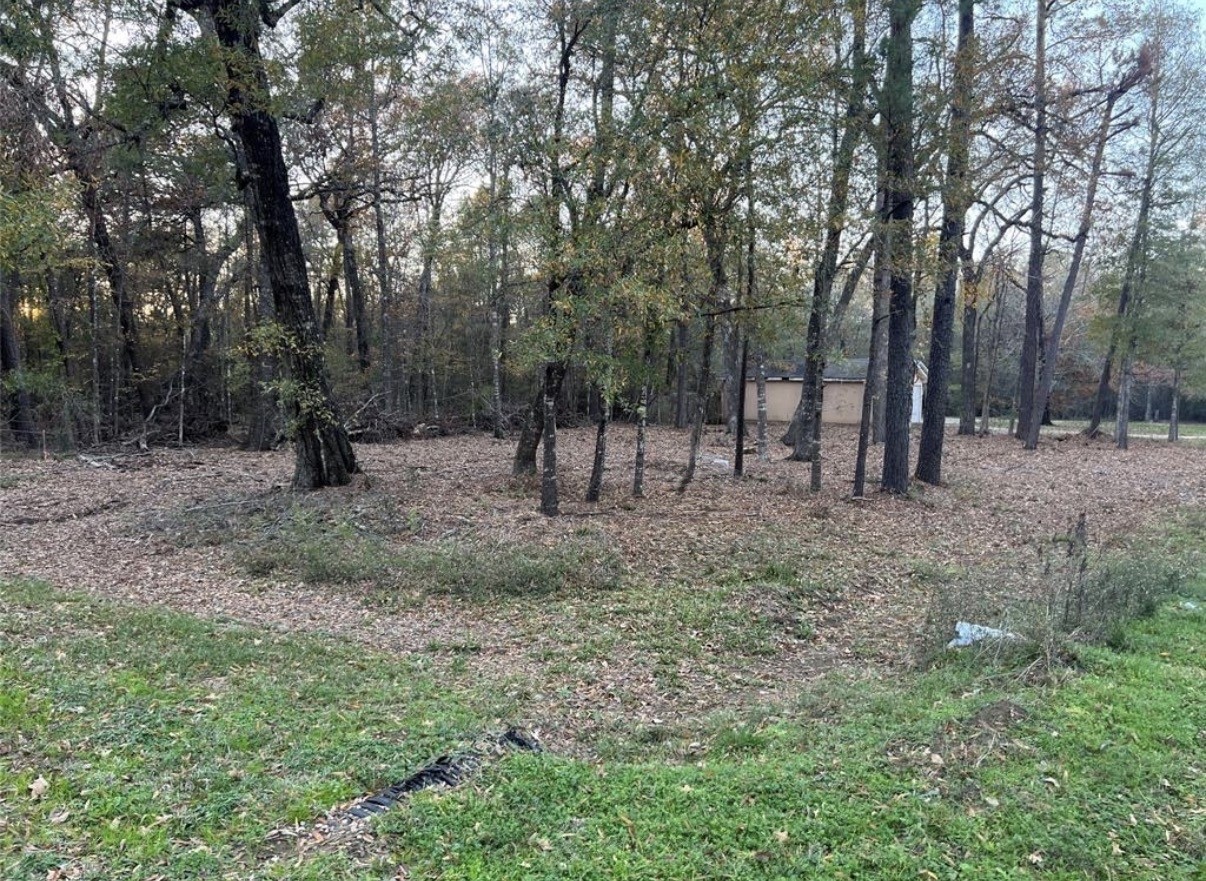 0 Mossy Drive Property Photo 2