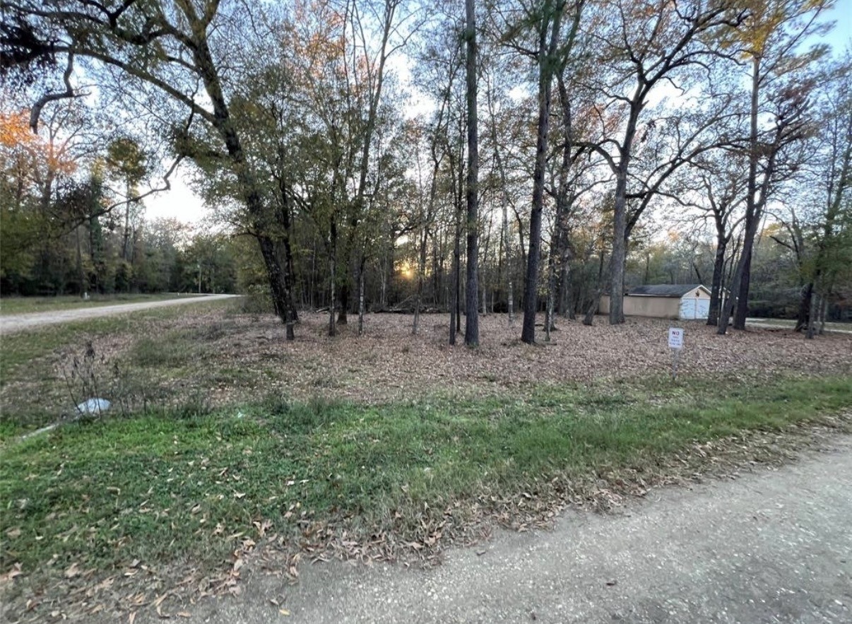 0 Mossy Drive Property Photo 4