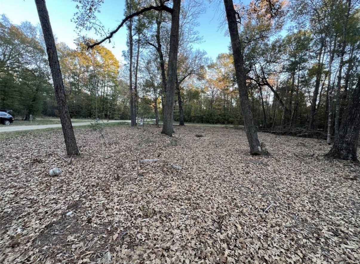 0 Mossy Drive Property Photo 5