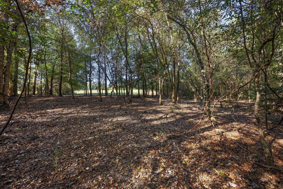 0 Cr 1601 Property Photo 4