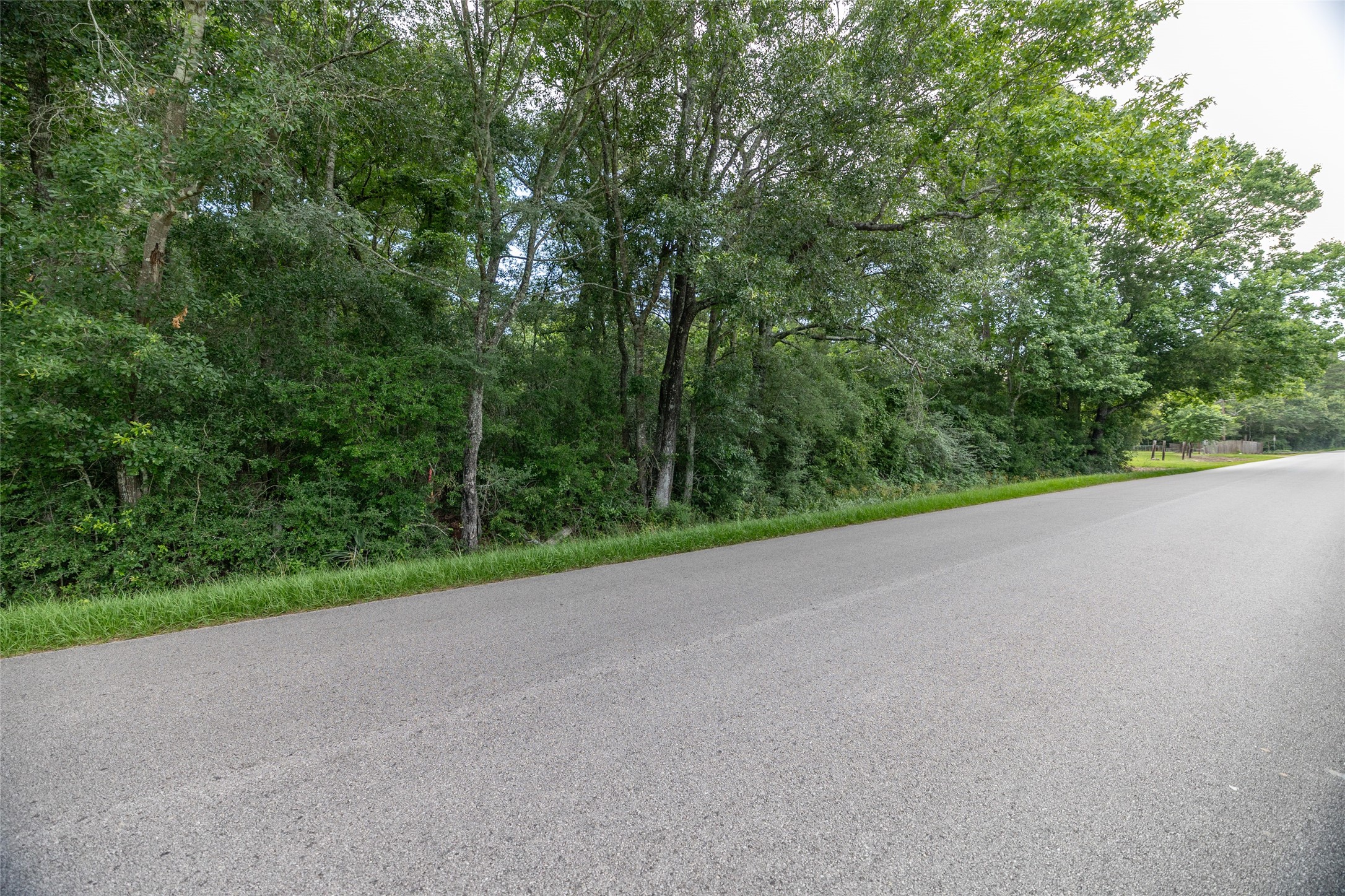 Tbd A1 County Road 318 Property Photo 6