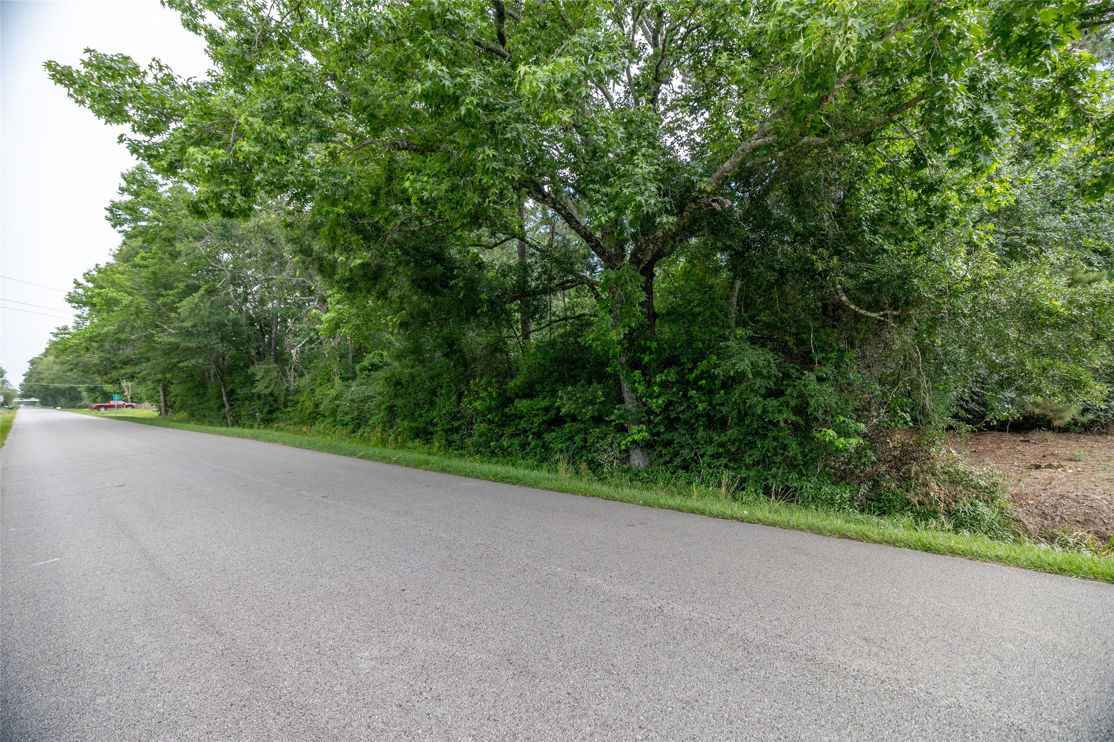 Tbd A1 County Road 318 Property Photo 7