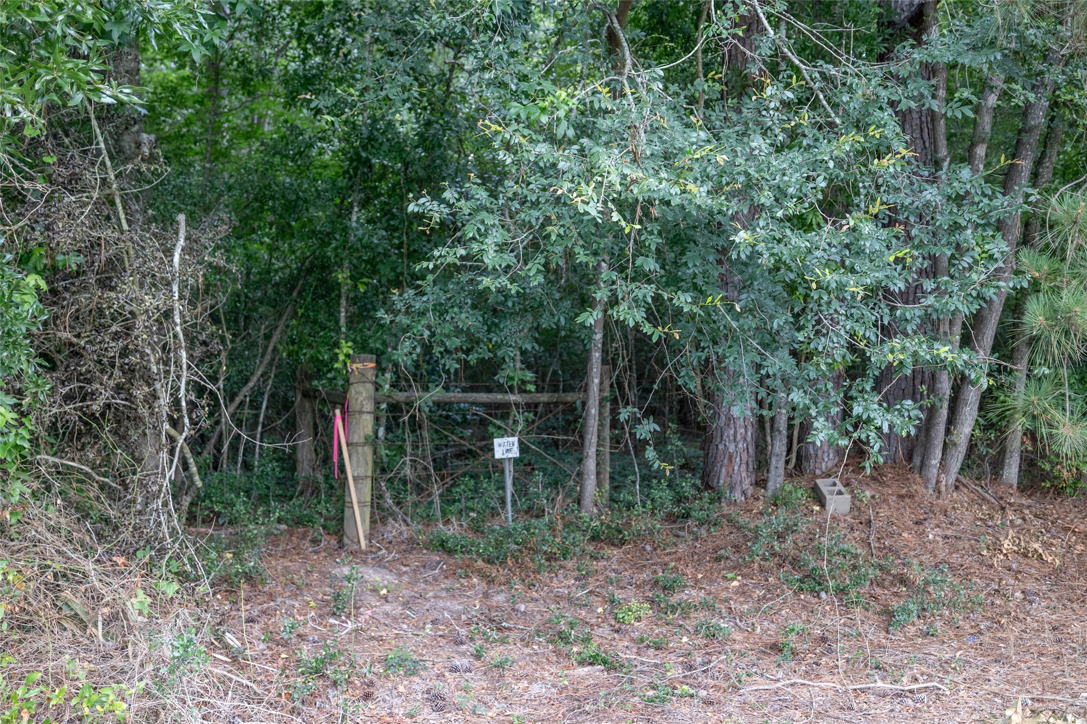 Tbd A1 County Road 318 Property Photo 8