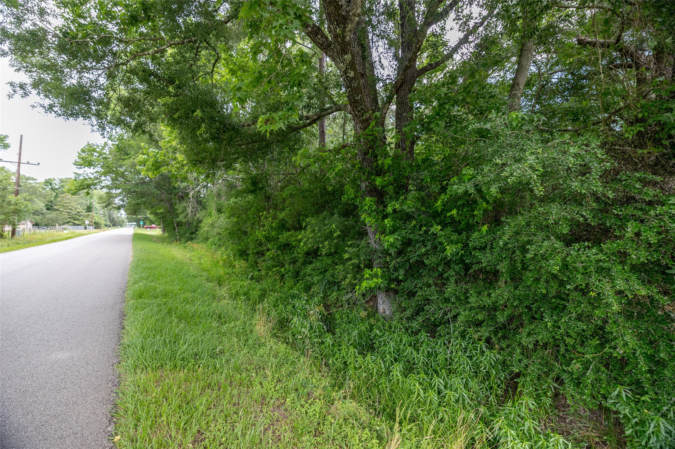 Tbd A1 County Road 318 Property Photo 9