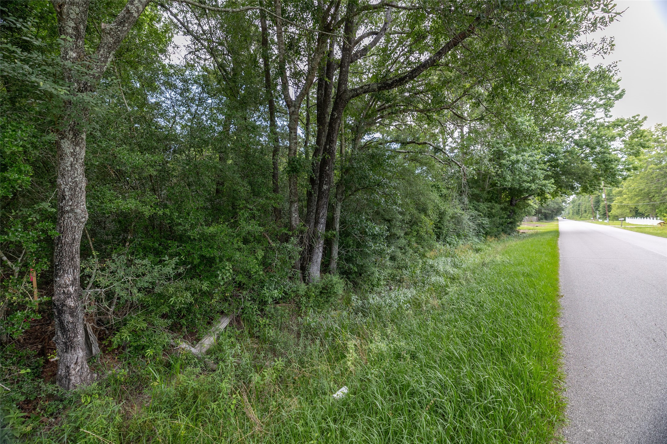 Tbd A1 County Road 318 Property Photo 10