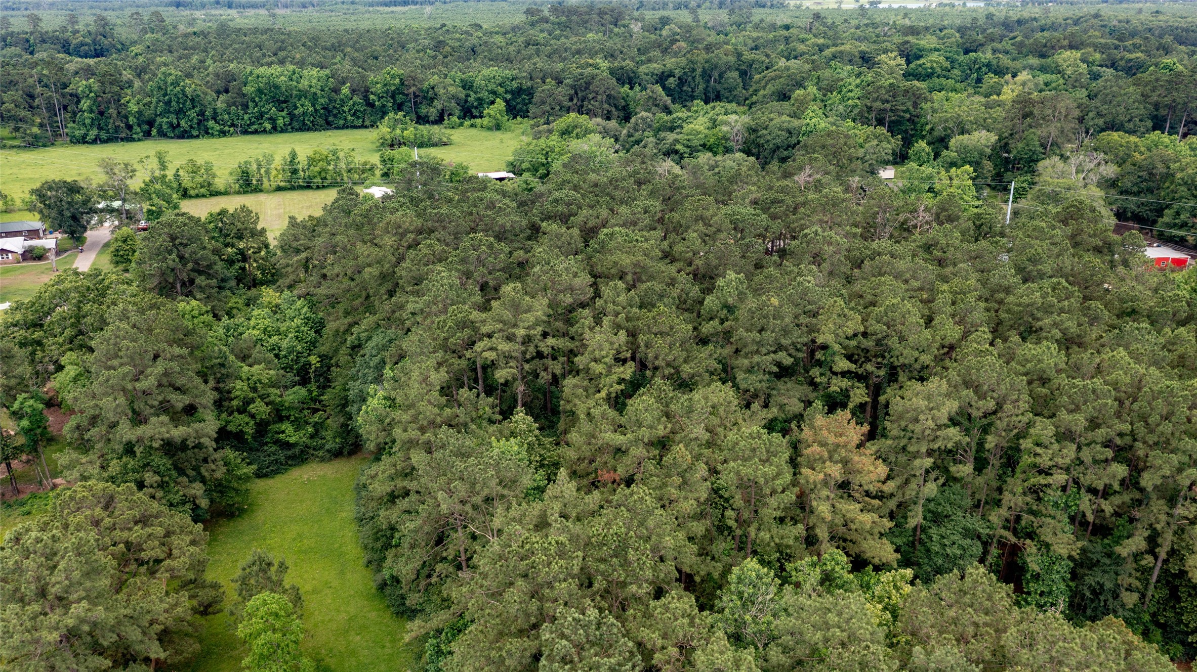 Tbd A1 County Road 318 Property Photo 17