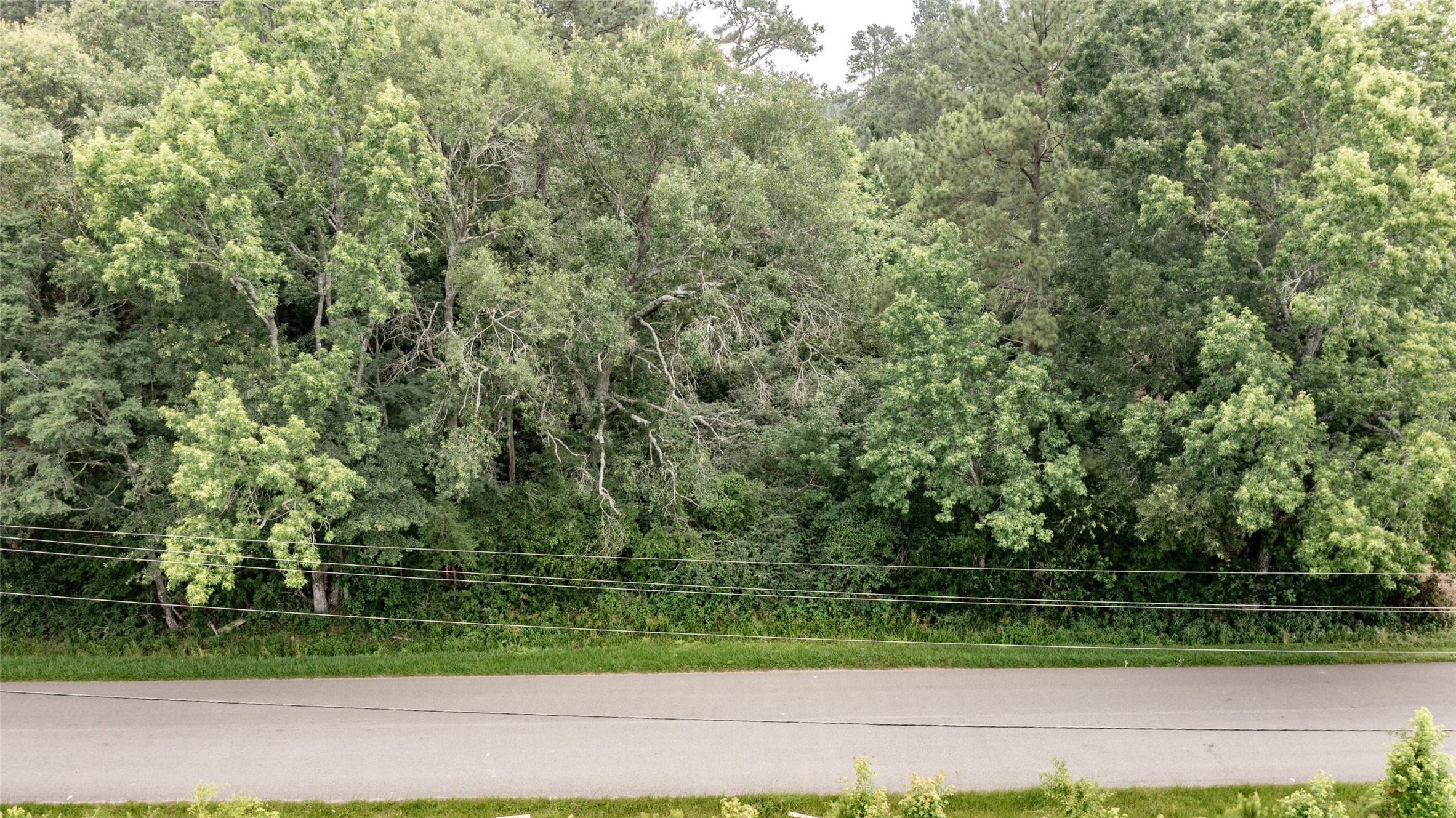 Tbd A1 County Road 318 Property Photo 26