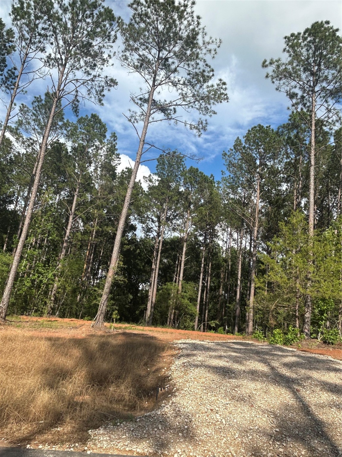 11350 Annie Creek Drive Property Photo 1