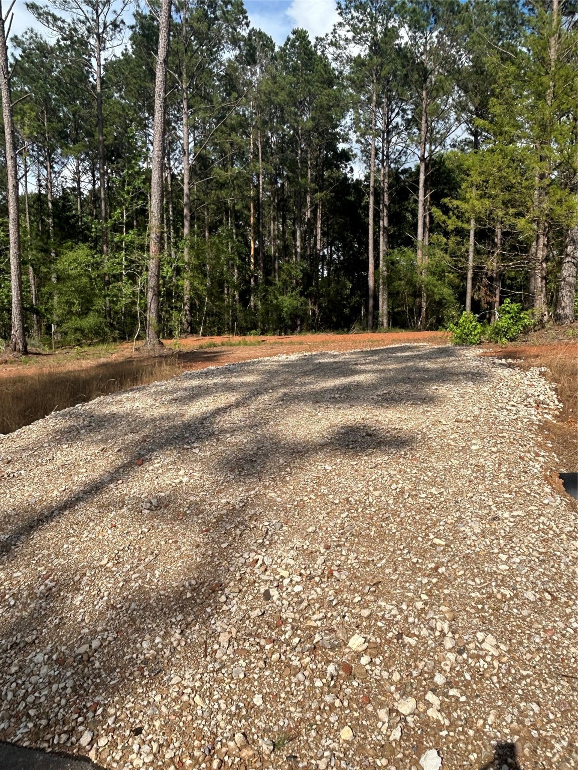 11350 Annie Creek Drive Property Photo 2