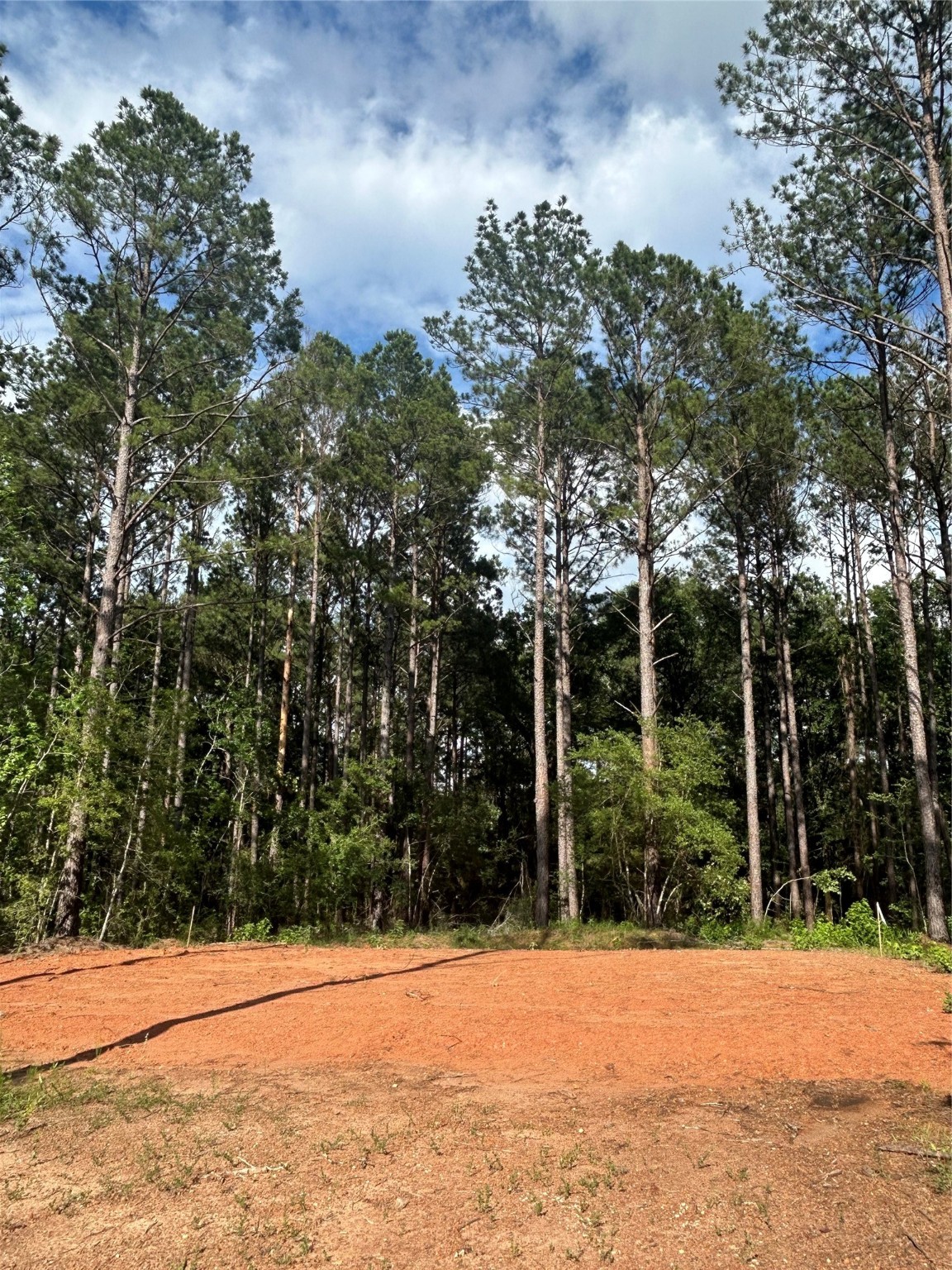 11350 Annie Creek Drive Property Photo 3