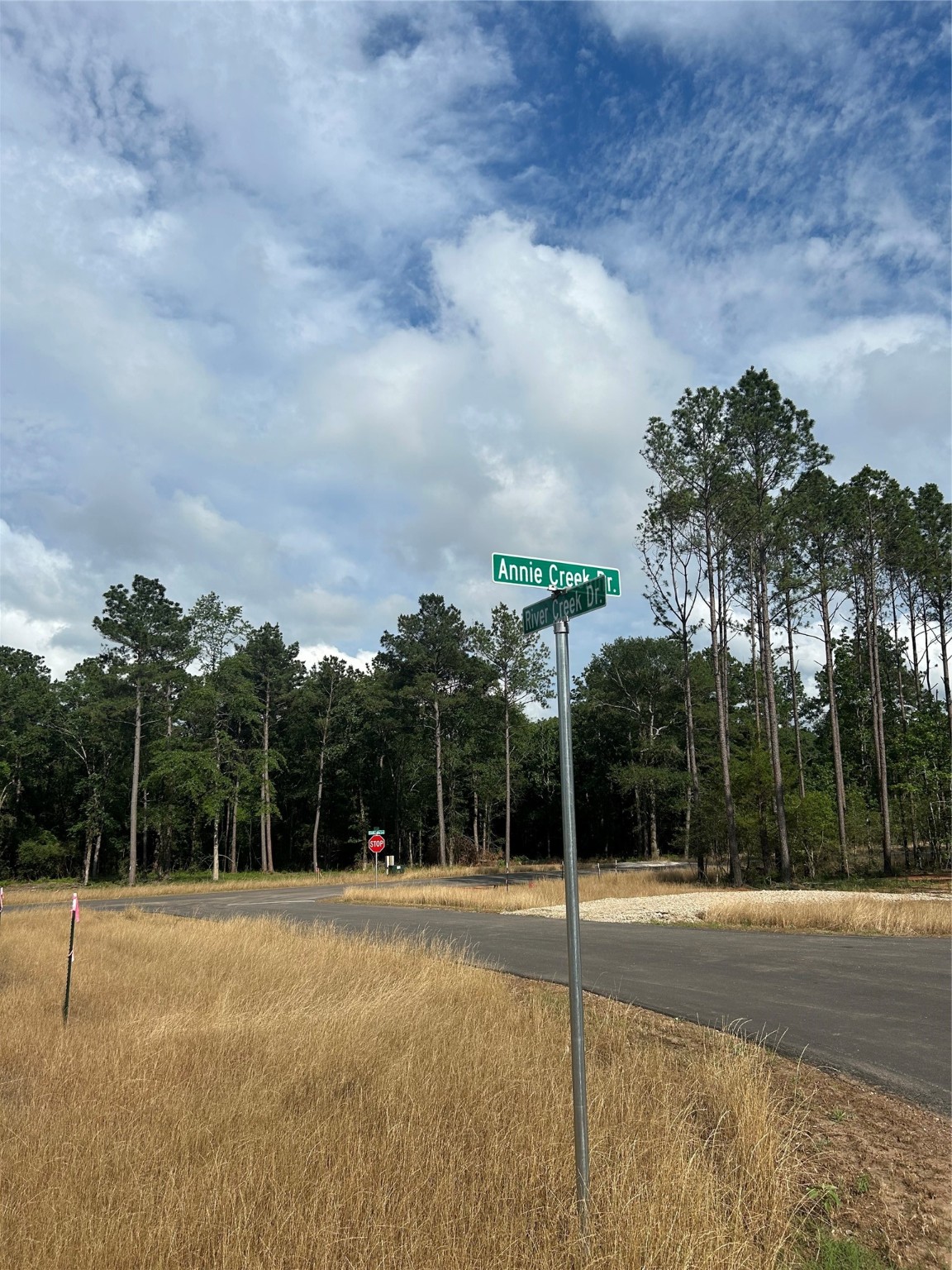 11350 Annie Creek Drive Property Photo 4