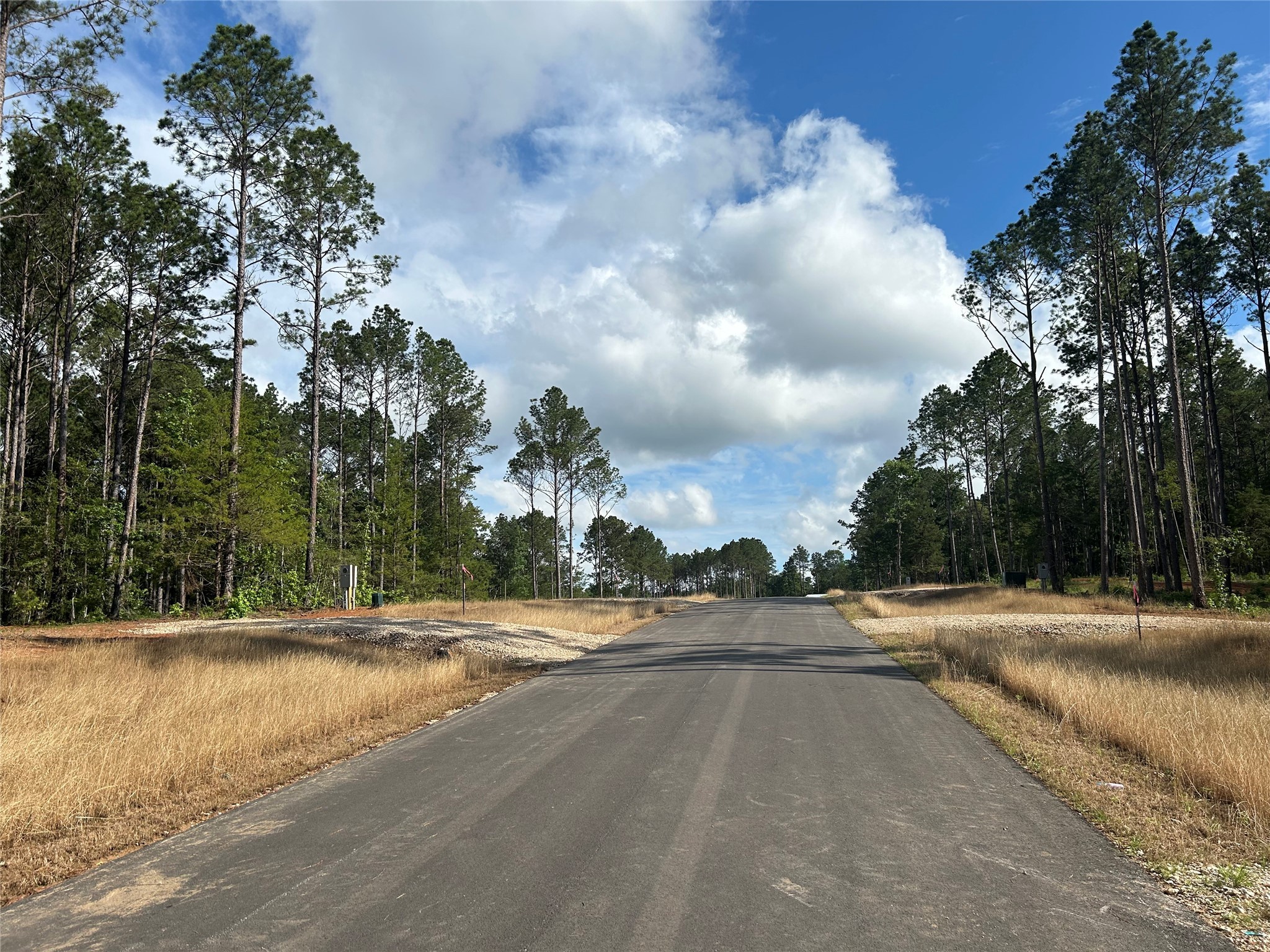 11350 Annie Creek Drive Property Photo 5