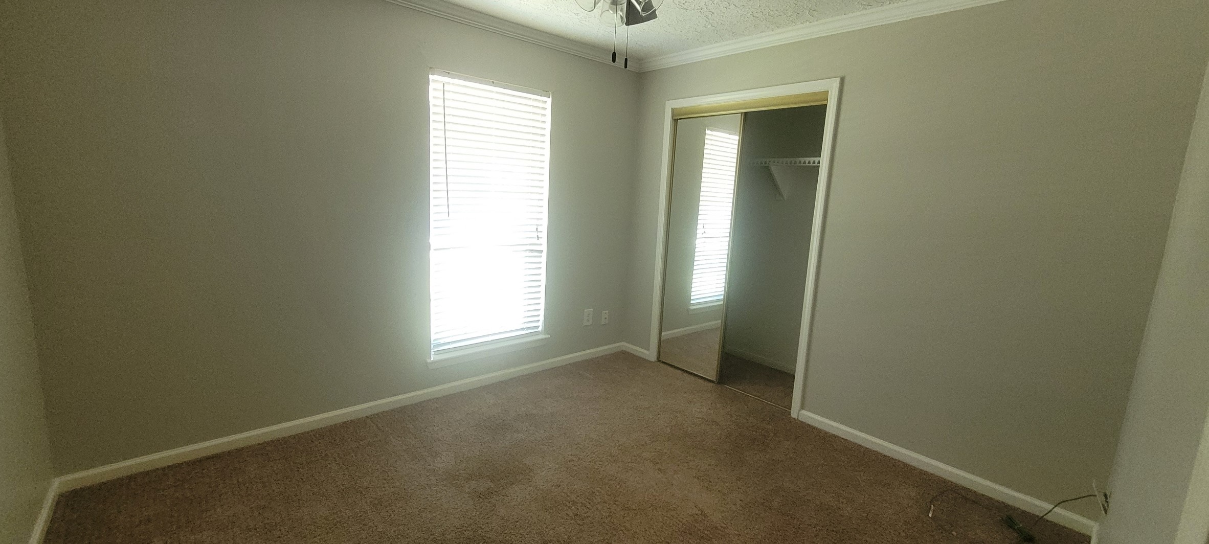 1807 Sleepy Creek Way Property Photo 6