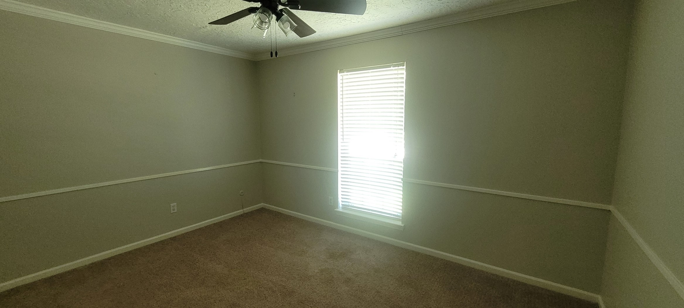 1807 Sleepy Creek Way Property Photo 7