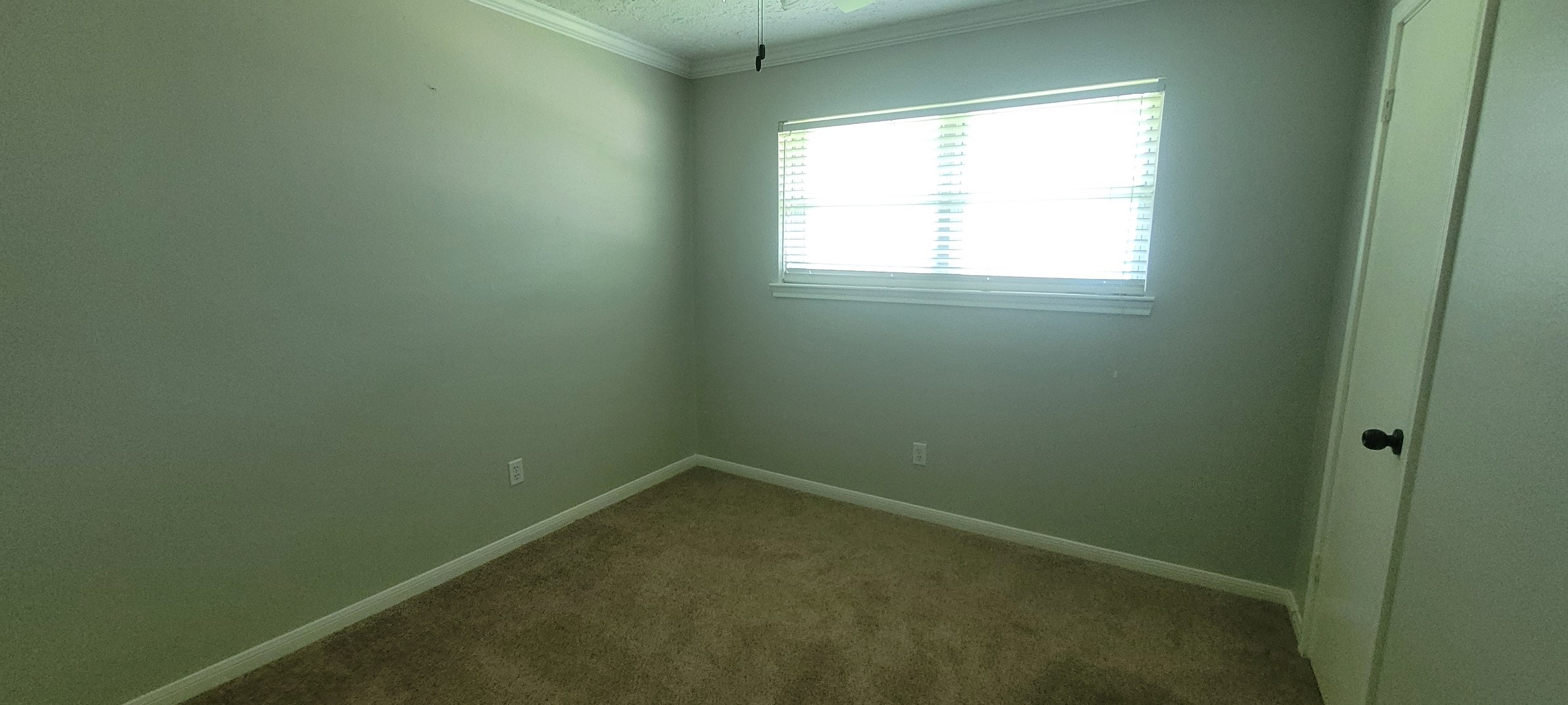 1807 Sleepy Creek Way Property Photo 10