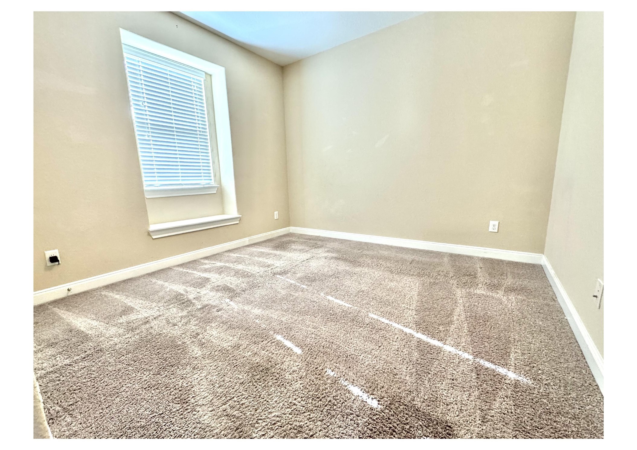 27034 Triana River Circle Property Photo 8