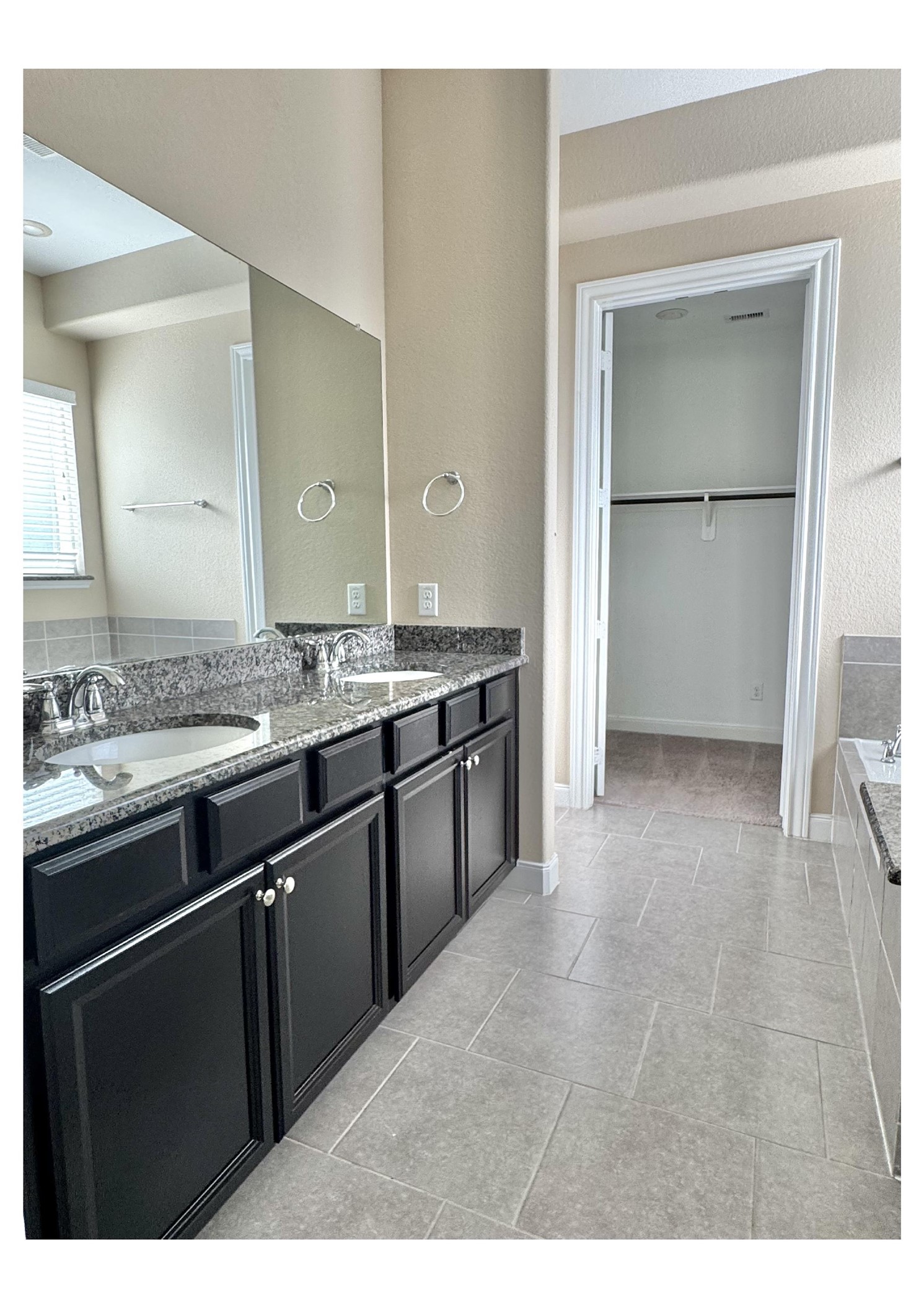 27034 Triana River Circle Property Photo 24