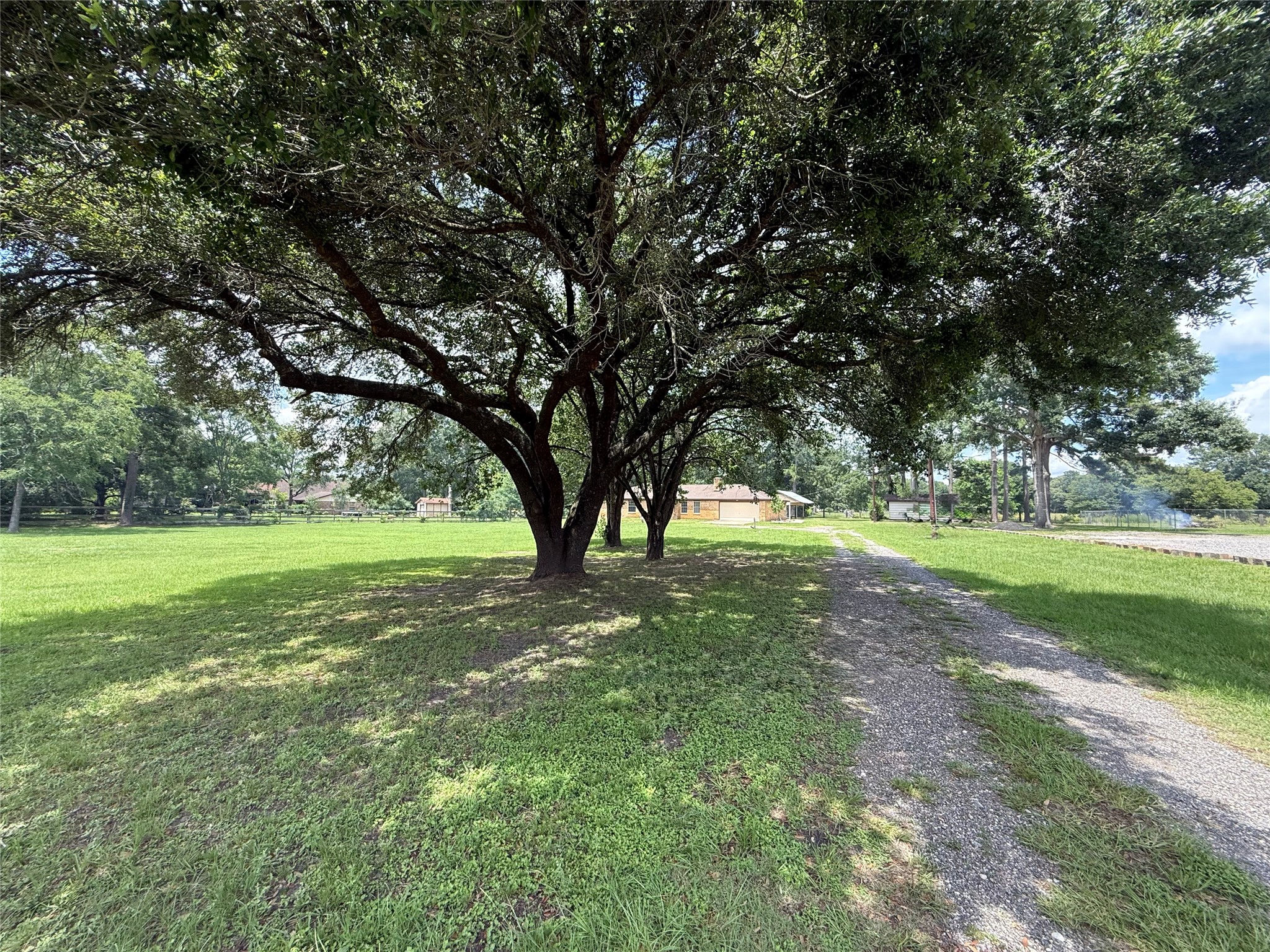 18751 Fm 1484 Rd Property Photo 2