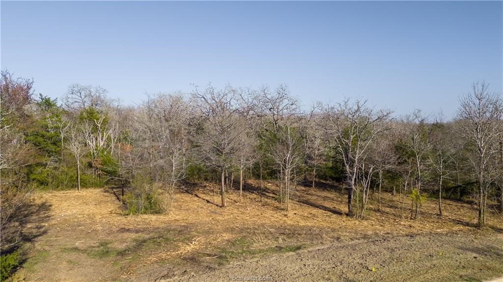 3325 Stephans Crossing Property Photo 2