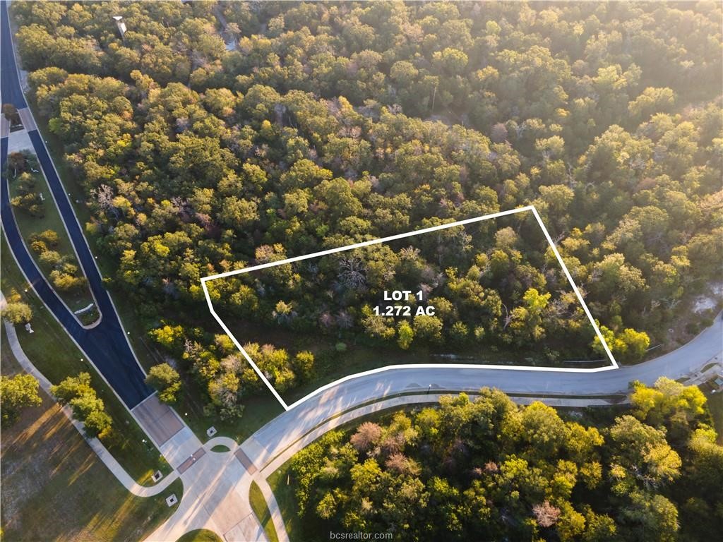 3325 Stephans Crossing Property Photo 5