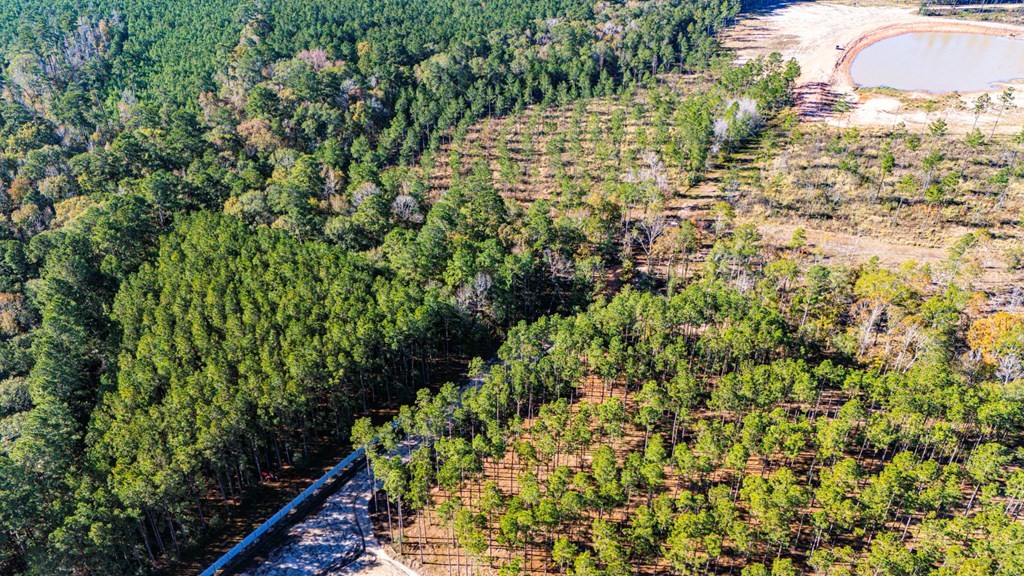Lot 8 Big Buck Drive N Property Photo 6