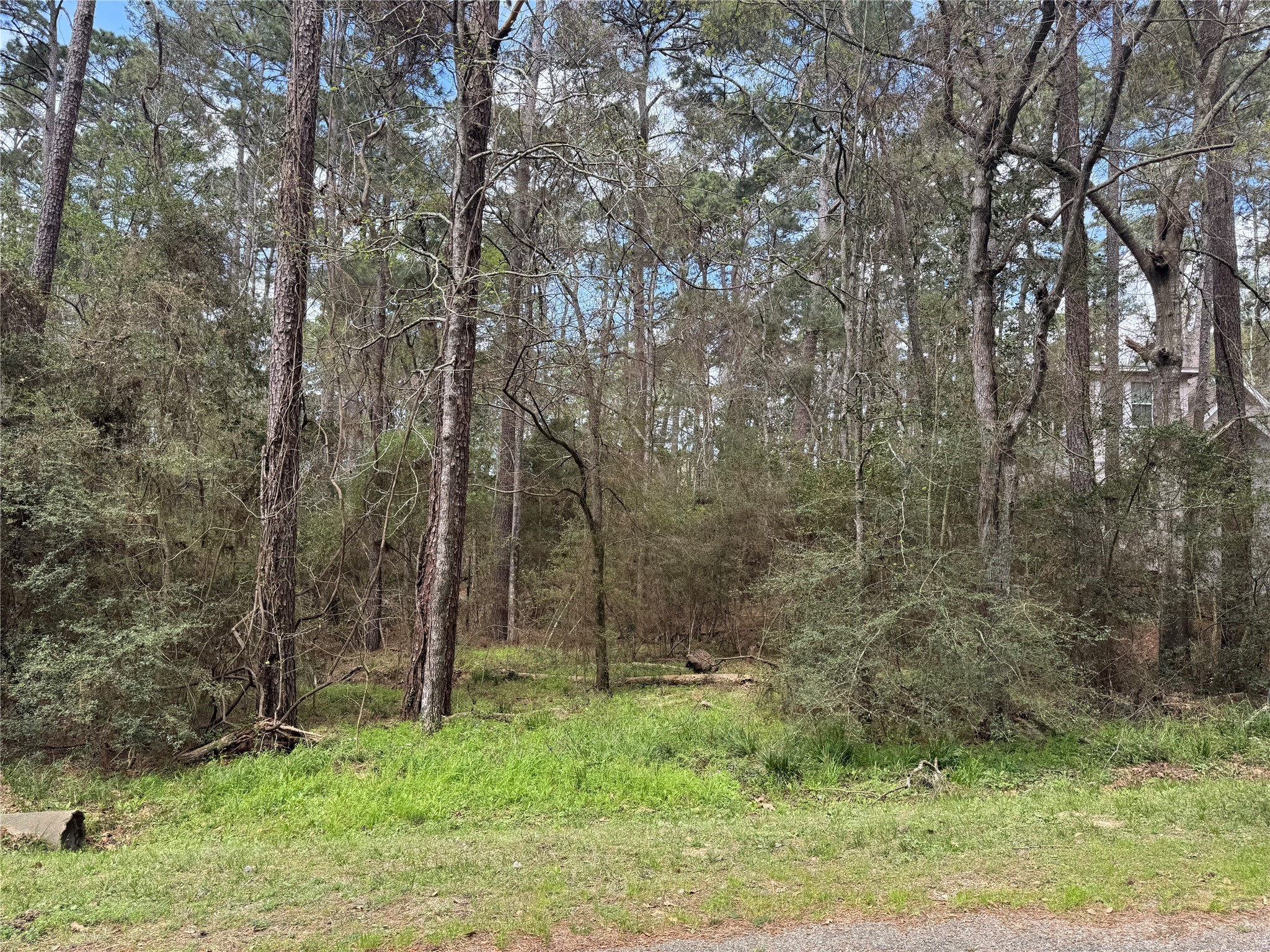 54 Green Tree Drive Property Photo