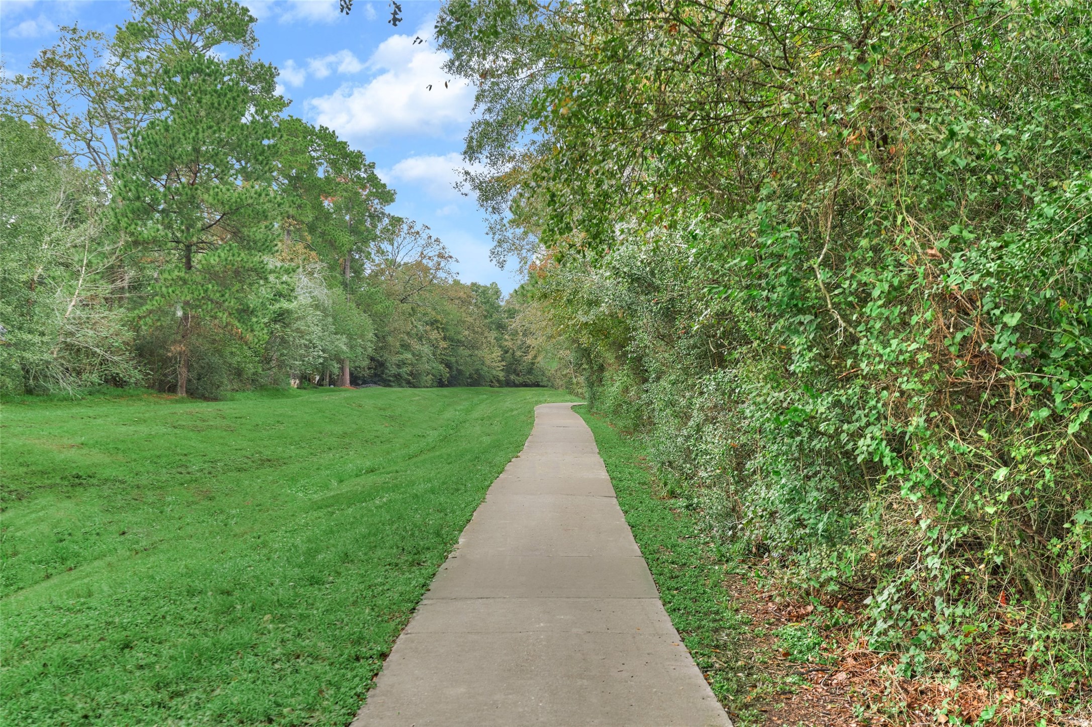 3500 Tangle Brush Drive 25 Property Photo 21