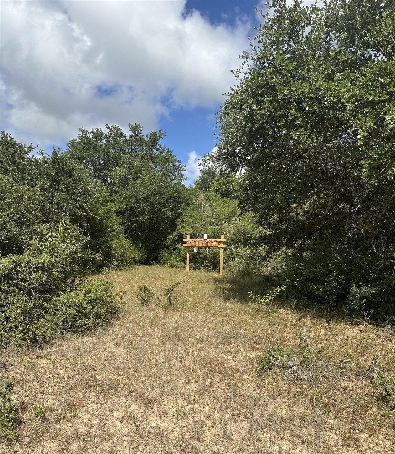 Tbd Cr 273 Road Property Photo 1
