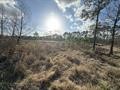 8.497 Fm-1130 Property Photo 4