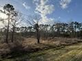 8.497 Fm-1130 Property Photo 5