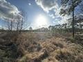 8.497 Fm-1130 Property Photo 6