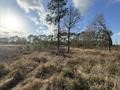 8.497 Fm-1130 Property Photo 8